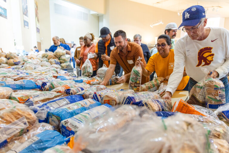 Feed the City Story-16